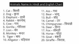 60+ Animals Name in Hindi and English - ( जानवरो के नाम )