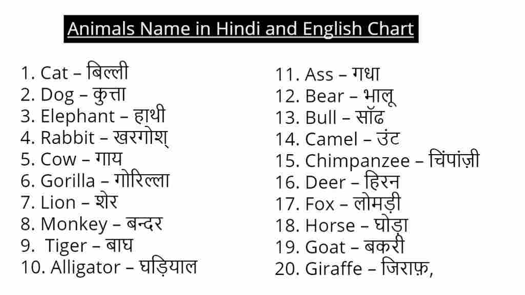 Animals Name in Hindi and English Chart