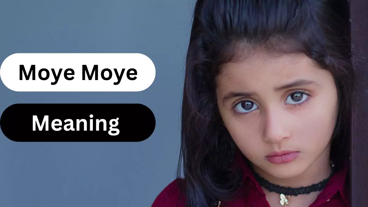 Moye Moye Meaning in Hindi (अर्थ, शुरुआत और क्यों कहा जाता है?) 1 Moye Moye Meaning in Hindi (अर्थ, शुरुआत और क्यों कहा जाता है)